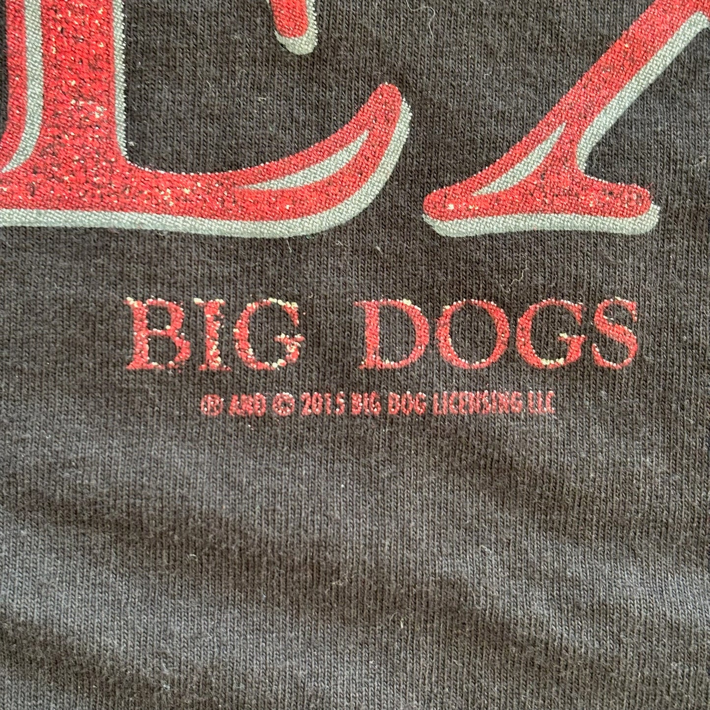 Big Dogs Funny Inappropriate Humor Graphic Shirt 00's - 2XL
