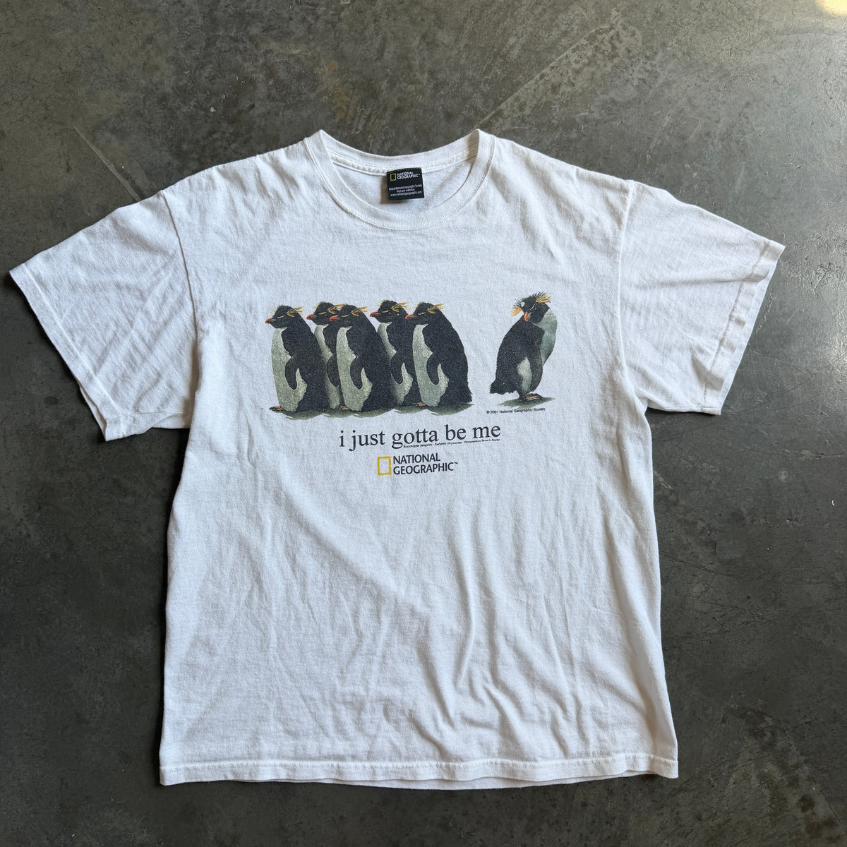 Surfs Up National Geographic Penguin Cody Maverick Tee - L