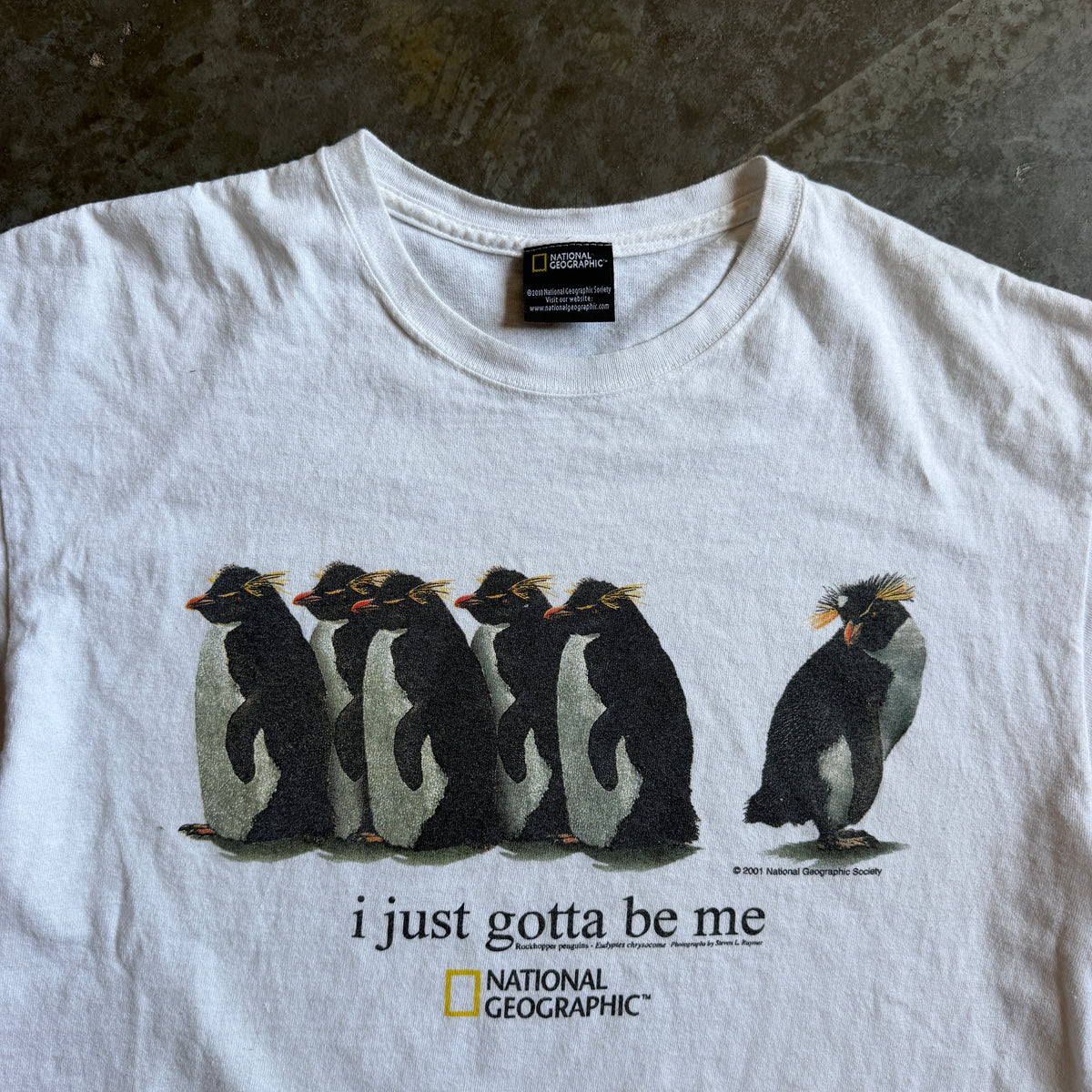 Surfs Up National Geographic Penguin Cody Maverick Tee - L