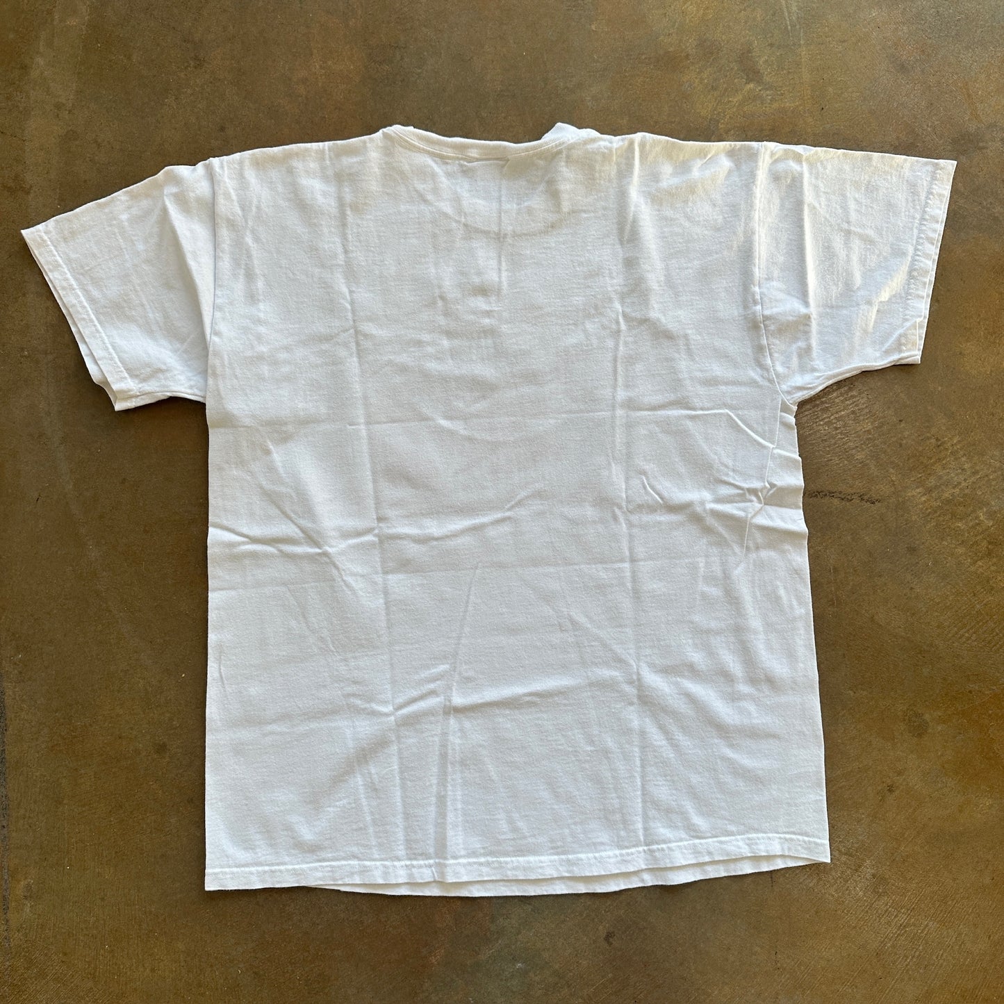 SIU Southern Illinois University Carbondale Graphic Freshman Shirt 00's - XL