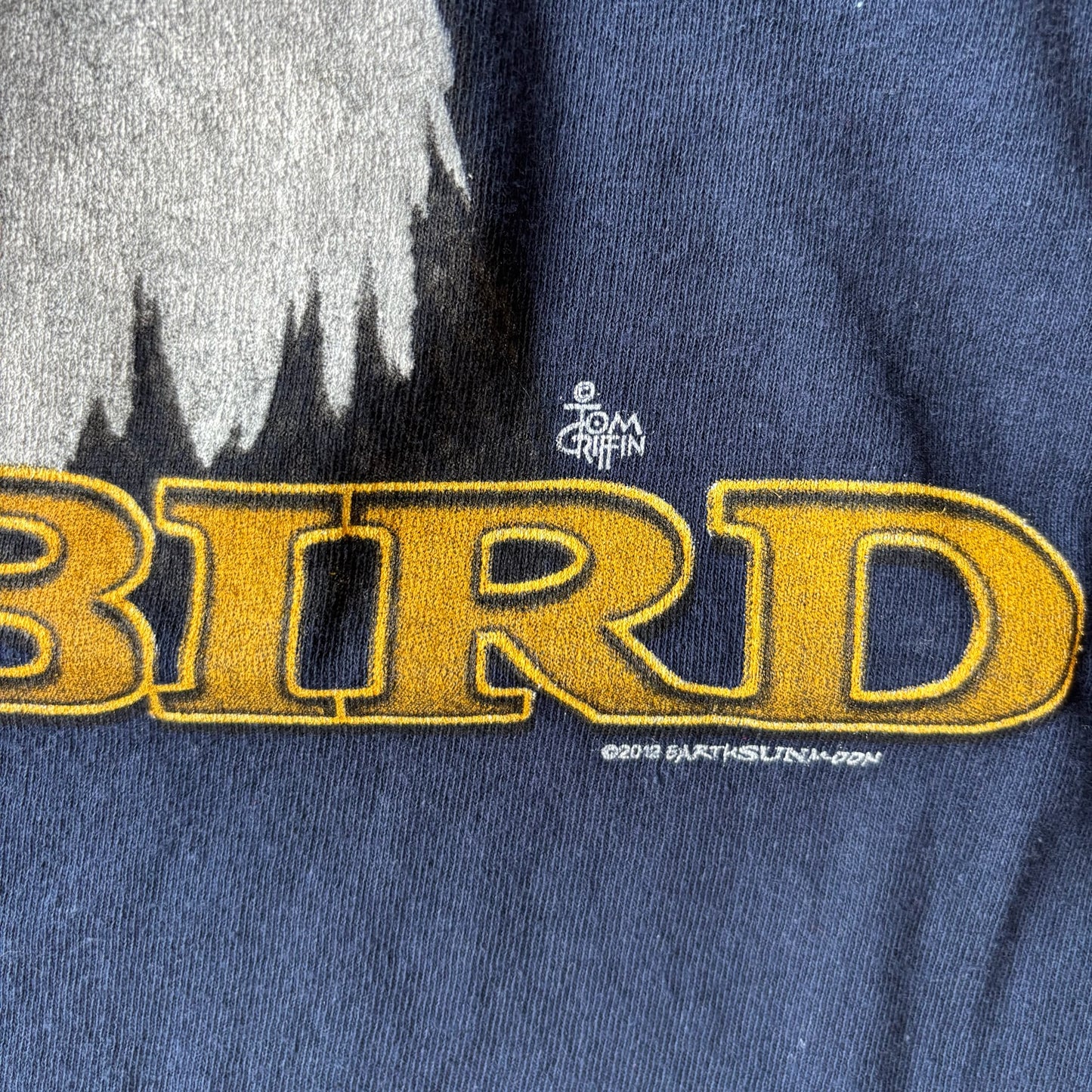Tough Old Bird Bald Eagle Graphic Shirt - XL