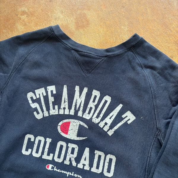Champion Steamboat Colorado Reverse Weave Sweatshirt Pullover 00's - XS hover